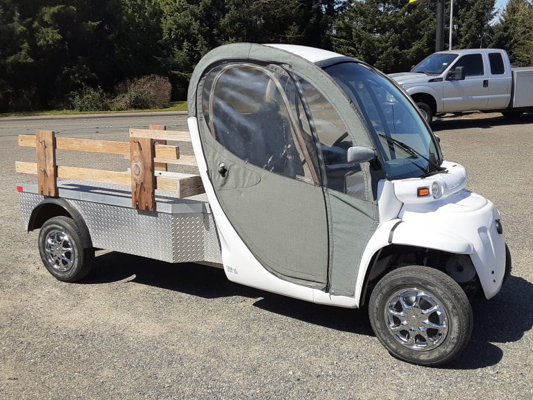 2008 Polaris GEM (Global Electric Motorcar) 20210416_133606-768x576-1