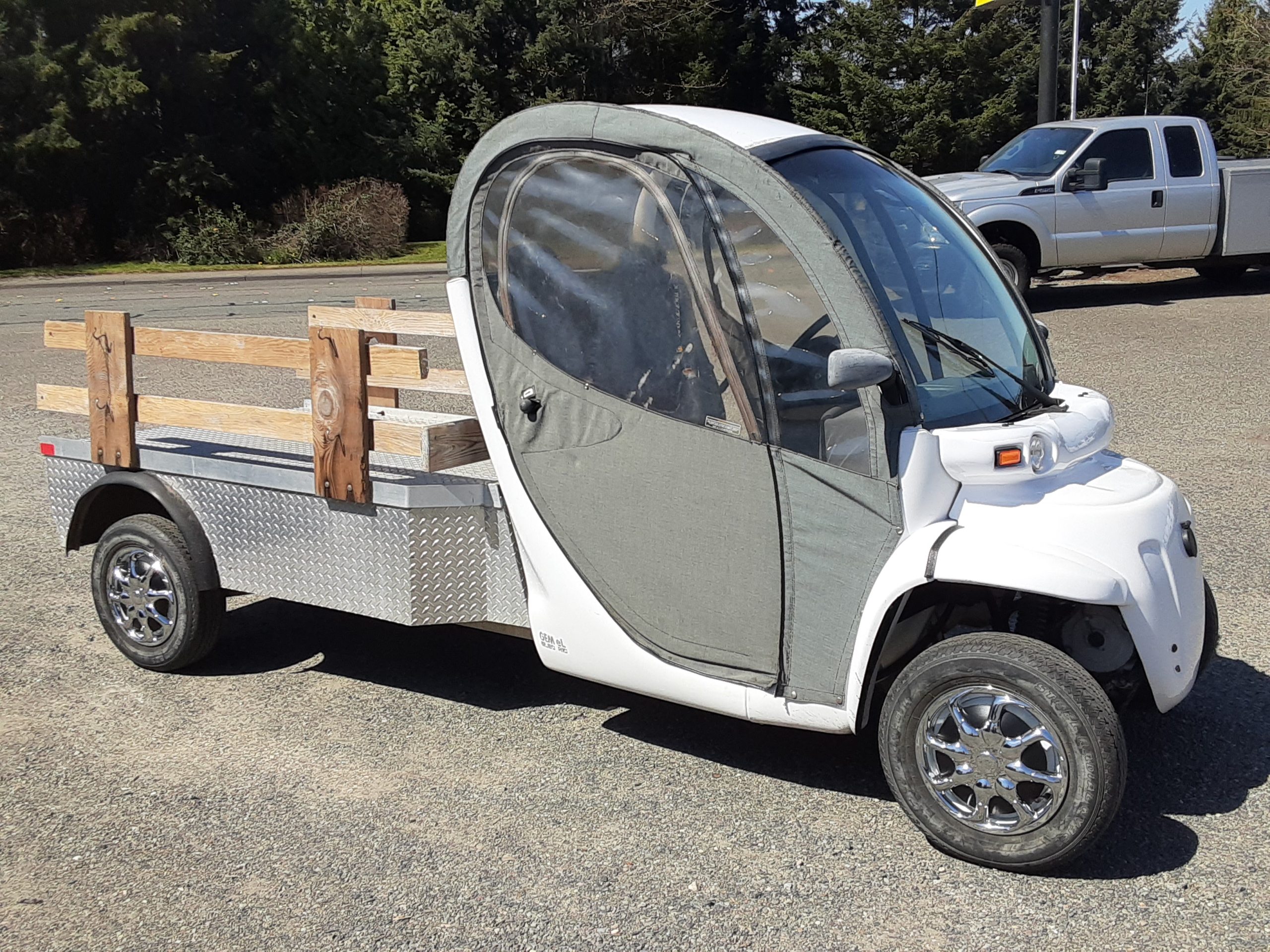 2008 Polaris GEM (Global Electric Motorcar) 20210416_133606-scaled